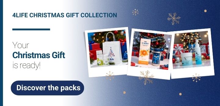 eu Christmas gifts home