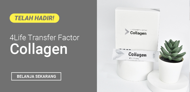 Indonesia-2023-collagen-HP