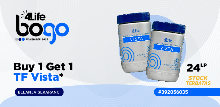 Indonesia-2023-nov bogo tf vista-HP