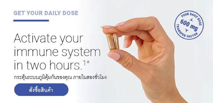 Thailand-2025-jan- daily dose-HP