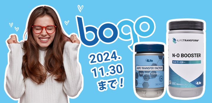 Japan 2024 November Bogo Shop