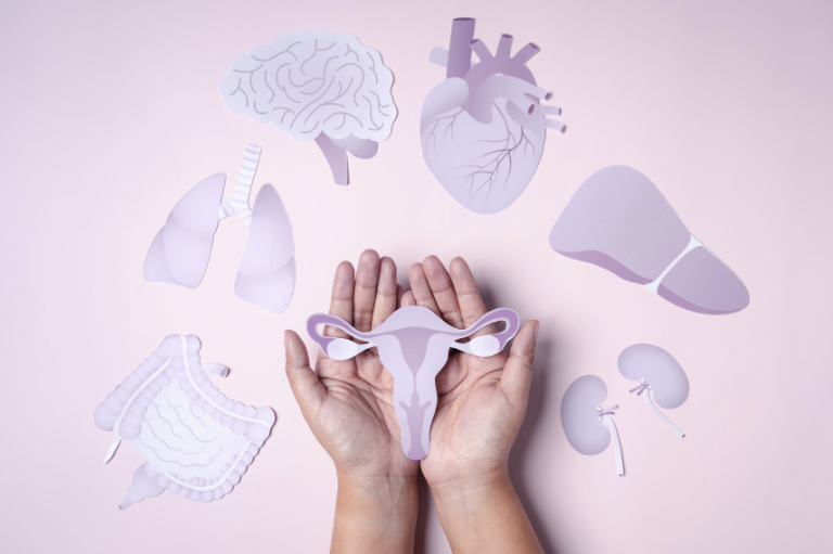 menopause support 