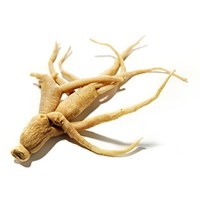 A Korean ginseng root with multiple elongated, beige-colored branches and a rough texture, an antioxidant-rich adaptogen.