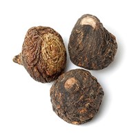 Close-up of three dried, round brown maca roots with rough texture, used for memory and learning.