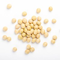 Light-colored soy seeds scattered, known for supporting the structure and protection of brain cell membranes.