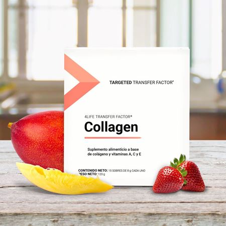 collagen two