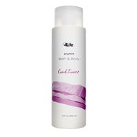 Conditioner