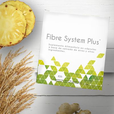 fibre system plus two