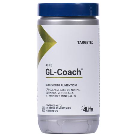 GL-Coach 1