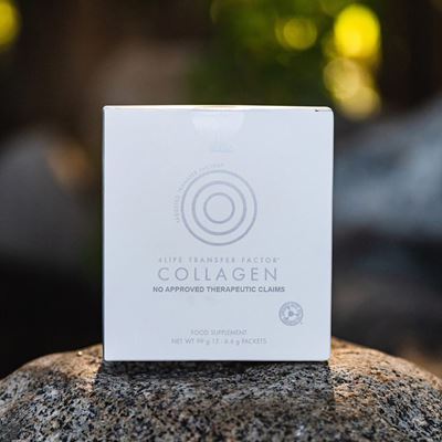 Collagen two