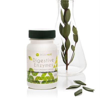 Digestive Enzymes two