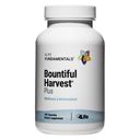 Bountiful Harvest