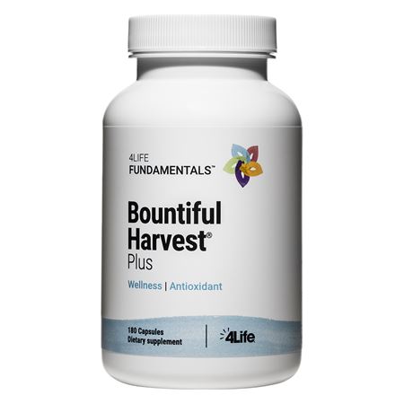 Bountiful-Harvest