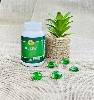 bioefa new