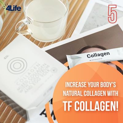 collagen new 